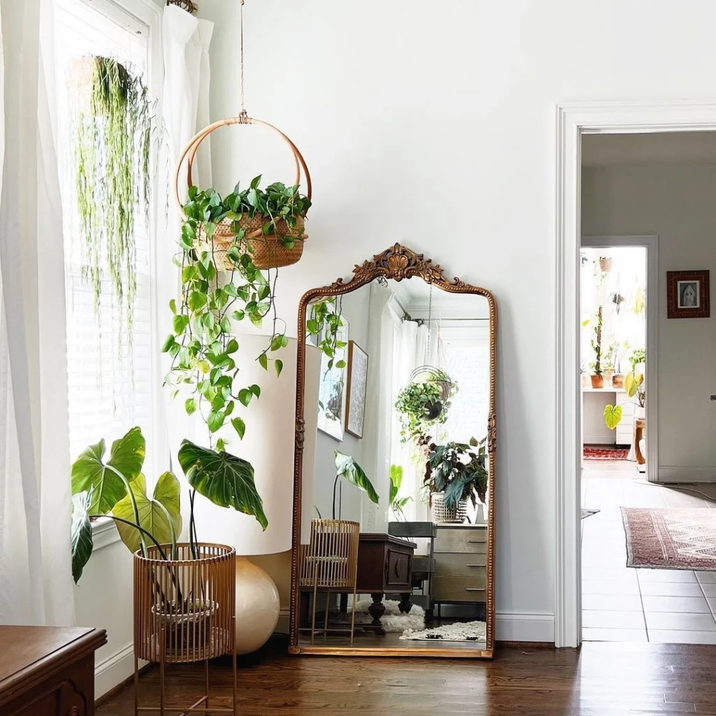 Indoor plants room decor idea for a fresh and modern living space